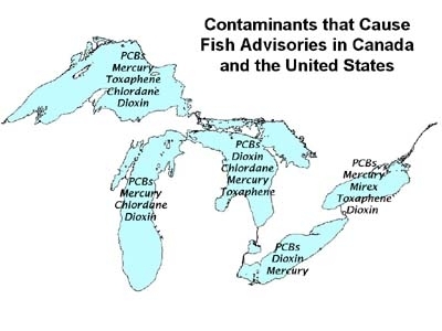 Fish Contaminant Fate and Transport Map